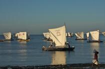 Malagasy Cup © Philip Plisson / Plisson La Trinité / AA15859 - Photo Galleries - Rowing boat