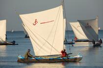 Malagasy Cup © Philip Plisson / Plisson La Trinité / AA15863 - Photo Galleries - Rowing boat