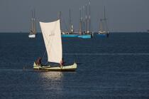 Malagasy Cup © Philip Plisson / Plisson La Trinité / AA15866 - Photo Galleries - Rowing boat
