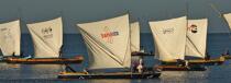 Malagasy Cup © Philip Plisson / Plisson La Trinité / AA15867 - Photo Galleries - Rowing boat