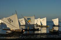 Malagasy Cup © Philip Plisson / Plisson La Trinité / AA15868 - Photo Galleries - Rowing boat