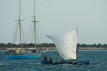 Malagacy Cup © Philip Plisson / Plisson La Trinité / AA15871 - Photo Galleries - Rowing boat