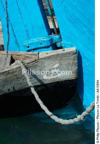 Malagasy Cup - © Philip Plisson / Plisson La Trinité / AA15894 - Photo Galleries - Stem