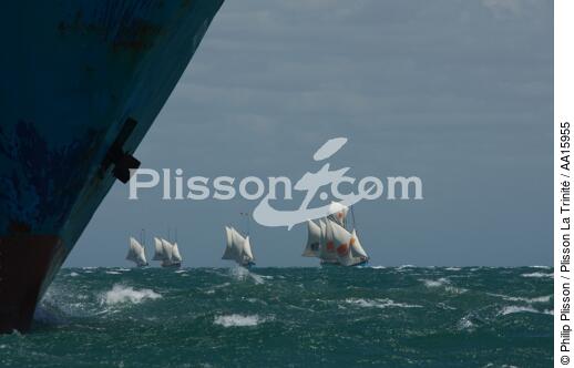 Malagasy Cup - © Philip Plisson / Plisson La Trinité / AA15955 - Photo Galleries - Stem