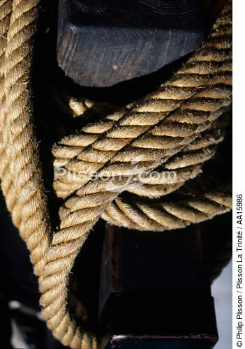HMS Rose. - © Philip Plisson / Plisson La Trinité / AA15986 - Photo Galleries - Elements of boat