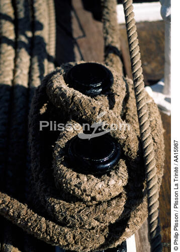 Belem - © Philip Plisson / Plisson La Trinité / AA15987 - Photo Galleries - Ropes and rigging