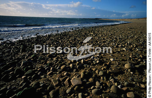 La plage de Saint-Pierre de Locmariaquer. - © Philip Plisson / Plisson La Trinité / AA16015 - Nos reportages photos - Galet