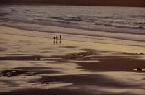 La plage des Sables d'Olonne © Philip Plisson / Pêcheur d’Images / AA16024 - Photo Galleries - Beach