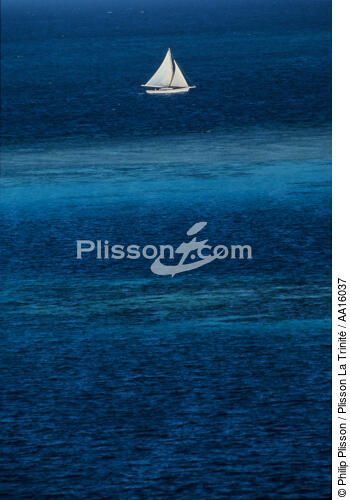 Navigation in West Indies. - © Philip Plisson / Plisson La Trinité / AA16037 - Photo Galleries - West indies [The]
