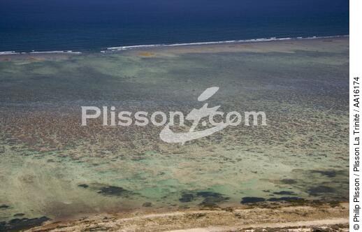 littoral Malgache au nord de Tuléar - © Philip Plisson / Plisson La Trinité / AA16174 - Nos reportages photos - Fond marin