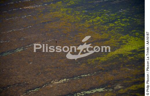Malagasy shore north of Tuléar - © Philip Plisson / Plisson La Trinité / AA16187 - Photo Galleries - Sea floor