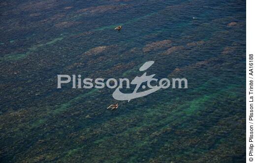 Littoral Malgache au nord de Tuléar - © Philip Plisson / Plisson La Trinité / AA16188 - Nos reportages photos - Barrière de corail