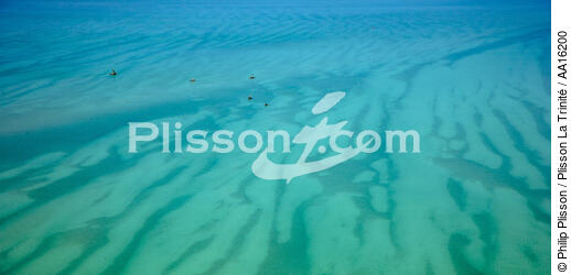 Malagasy shore north of Tuléar - © Philip Plisson / Plisson La Trinité / AA16200 - Photo Galleries - 16/9 horizontal