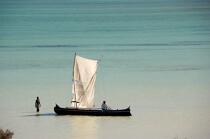 Salary Lagoon © Philip Plisson / Plisson La Trinité / AA16251 - Photo Galleries - Rowing boat