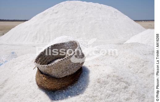 Belo sur mer salt marshes - © Philip Plisson / Plisson La Trinité / AA16268 - Photo Galleries - Salt production