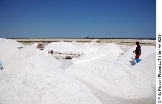 Belo sur mer salt marshes - © Philip Plisson / Plisson La Trinité / AA16269 - Photo Galleries - Salt marshes