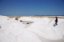 Belo sur mer salt marshes © Philip Plisson / Plisson La Trinité / AA16269 - Photo Galleries - Salt