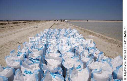 Belo sur mer salt marshes - © Philip Plisson / Plisson La Trinité / AA16270 - Photo Galleries - Salt production
