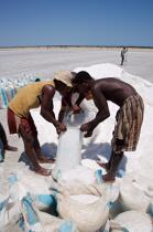 Belo sur mer salt marshes © Philip Plisson / Plisson La Trinité / AA16271 - Photo Galleries - Salt production