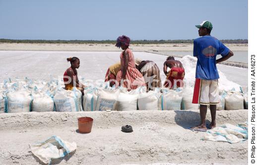 Belo sur mer salt marshes - © Philip Plisson / Plisson La Trinité / AA16273 - Photo Galleries - Salt production