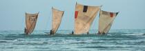Morondava © Philip Plisson / Plisson La Trinité / AA16291 - Photo Galleries - Rowing boat