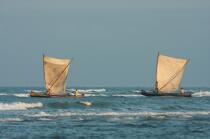 Morondava © Philip Plisson / Plisson La Trinité / AA16294 - Photo Galleries - Rowing boat