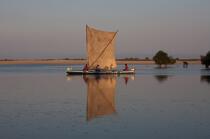 Belo sur mer © Philip Plisson / Plisson La Trinité / AA16335 - Photo Galleries - Rowing boat