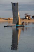 Belo sur mer © Philip Plisson / Plisson La Trinité / AA16337 - Photo Galleries - Rowing boat
