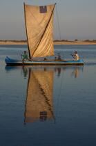 Belo sur mer © Philip Plisson / Plisson La Trinité / AA16339 - Photo Galleries - Rowing boat