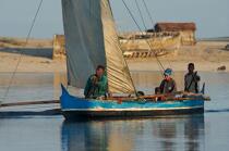 Belo sur mer © Philip Plisson / Plisson La Trinité / AA16343 - Photo Galleries - Rowing boat