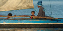 Belo sur mer © Philip Plisson / Plisson La Trinité / AA16346 - Photo Galleries - Rowing boat