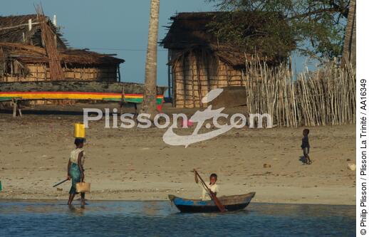 Belo sur mer - © Philip Plisson / Plisson La Trinité / AA16349 - Nos reportages photos - Arbre