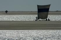 Belo sur mer © Philip Plisson / Plisson La Trinité / AA16358 - Photo Galleries - Rowing boat