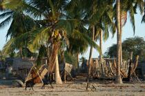 Belo sur mer © Philip Plisson / Plisson La Trinité / AA16395 - Nos reportages photos - Ville [Madagascar]
