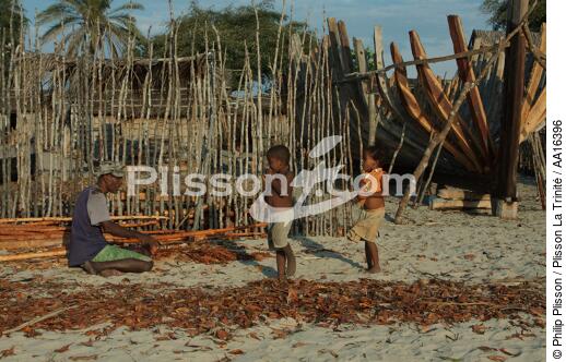 Belo sur mer - © Philip Plisson / Plisson La Trinité / AA16396 - Nos reportages photos - Arbre