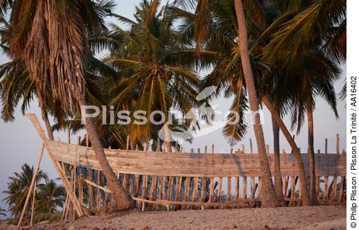 Belo sur mer - © Philip Plisson / Plisson La Trinité / AA16402 - Photo Galleries - Tree