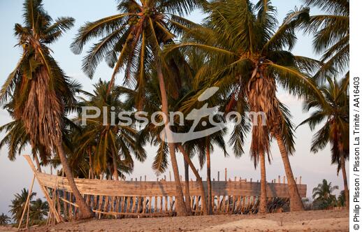 Belo sur mer - © Philip Plisson / Plisson La Trinité / AA16403 - Photo Galleries - Coconut palm