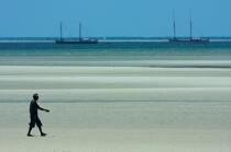 Belo sur mer © Philip Plisson / Plisson La Trinité / AA16407 - Nos reportages photos - Contre-jour