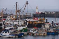 Newlyn, Angleterre © Philip Plisson / Plisson La Trinité / AA16453 - Nos reportages photos - Feu de port