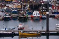 Newlyn, Angleterre © Philip Plisson / Plisson La Trinité / AA16454 - Nos reportages photos - Feu de port