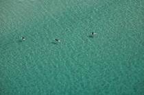 Whitesand Bay, Angleterre © Philip Plisson / Plisson La Trinité / AA16671 - Nos reportages photos - Surf