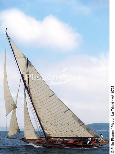 Pen-Duick I - © Philip Plisson / Plisson La Trinité / AA16728 - Nos reportages photos - Yachting