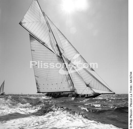 Pen-Duick - © Philip Plisson / Plisson La Trinité / AA16744 - Photo Galleries - Pen-Duick
