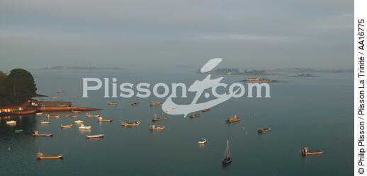 Pointe du Ruaud - © Philip Plisson / Plisson La Trinité / AA16775 - Nos reportages photos - 16/9 horizontal