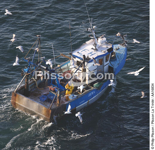 Petite pêche en baie de Quiberon. - © Philip Plisson / Plisson La Trinité / AA16834 - Nos reportages photos - Petite pêche