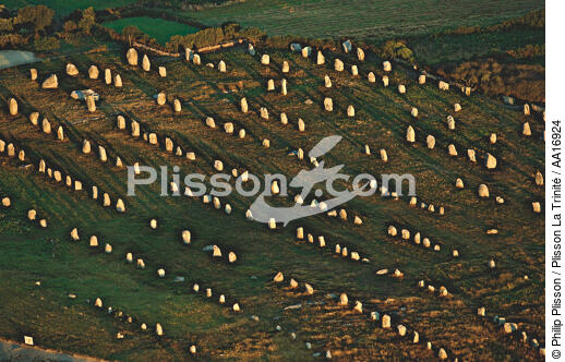 Les alignements de Carnac. - © Philip Plisson / Plisson La Trinité / AA16924 - Nos reportages photos - Carnac