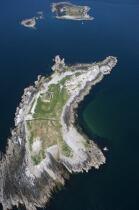 St Marcouf islands © Philip Plisson / Plisson La Trinité / AA16983 - Photo Galleries - Fort