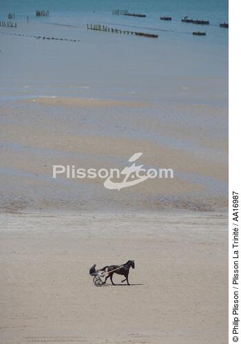 Sur une plage du Cotentin - © Philip Plisson / Plisson La Trinité / AA16987 - Nos reportages photos - Marée