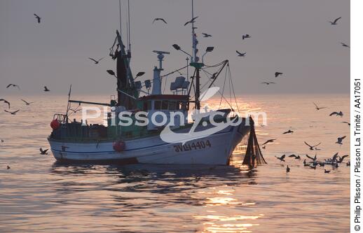 Pêche à la sardine en Galice - © Philip Plisson / Plisson La Trinité / AA17051 - Nos reportages photos - Pêche à la sardine