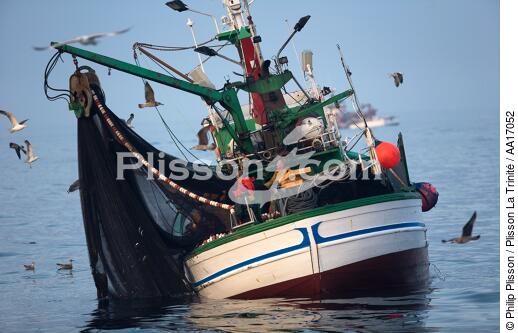 Pêche à la sardine en Galice - © Philip Plisson / Plisson La Trinité / AA17052 - Nos reportages photos - Mer calme